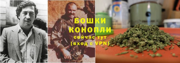 MESCALINE Аркадак
