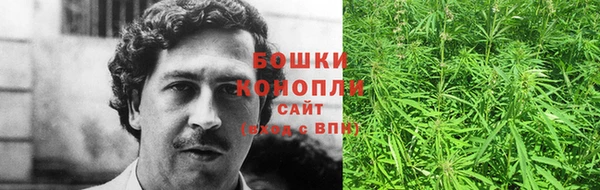 дурь Арсеньев