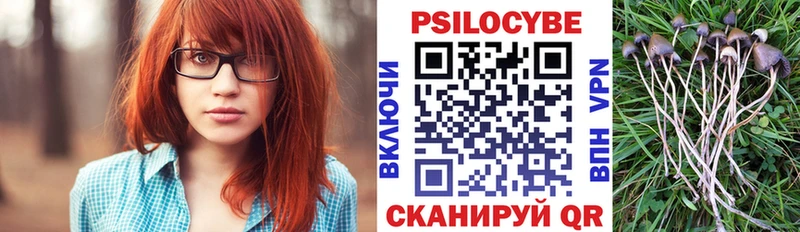 Купить закладки Володарск Галлюциногенные грибы Psilocybe